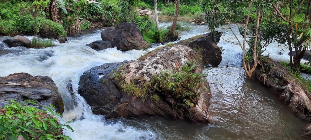 Linn View Home Stay Munnar Quarto foto